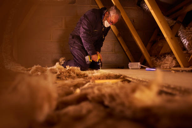 Professional Insulation Contractor in Lenoir, NC