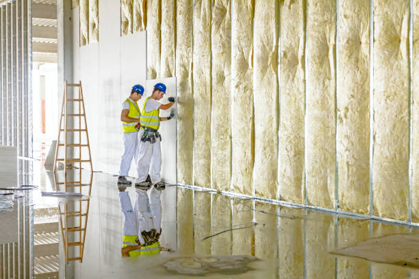 Types of Insulation We Offer in Lenoir, NC